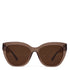 Brown sunglasses with a white background