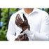 Floto Leather Driving Gloves